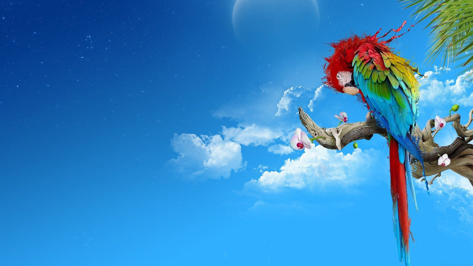 230 Full HD Wallpapers 1920x1080 part 2
